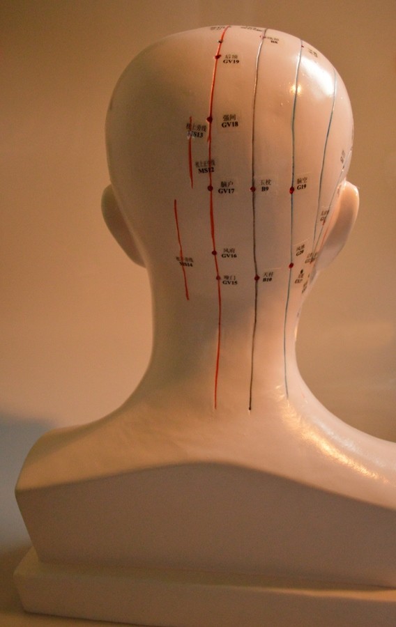 Tête d'Acupuncture échelle 1:1