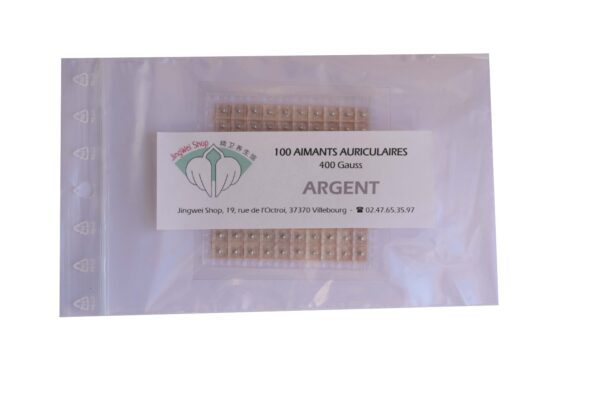 Aimants auriculaires Argent x 121