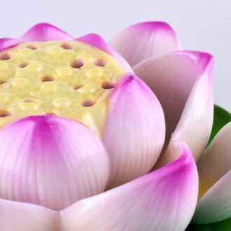 Porte-encens Fleur de Lotus Couleurs