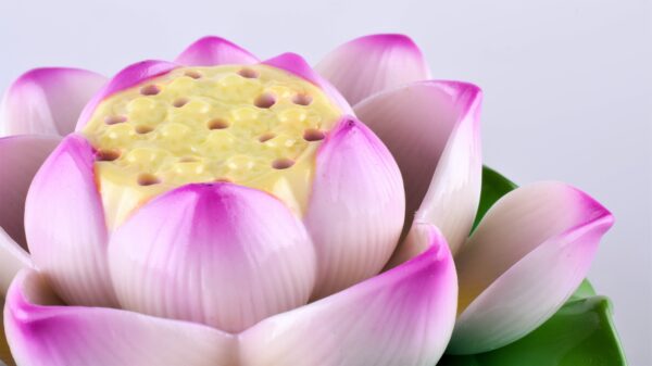 Porte-encens Fleur de Lotus Couleurs